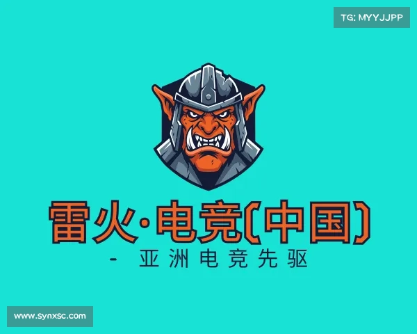 了解雷火·电竞(中国) - 亚洲电竞先驱